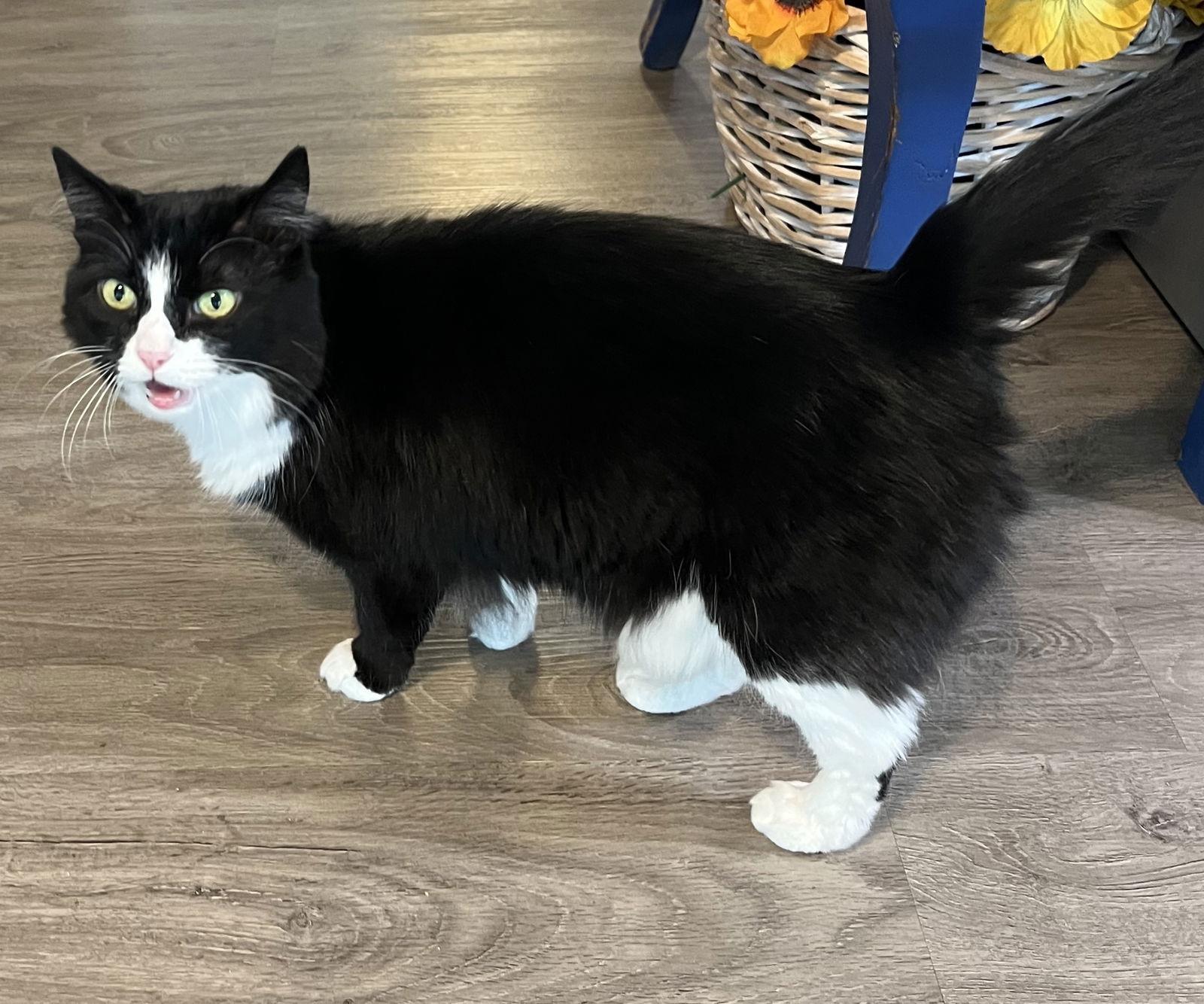 Jane — thumbnail 4