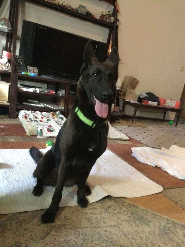 Storm Located In Ut thumbnail 3