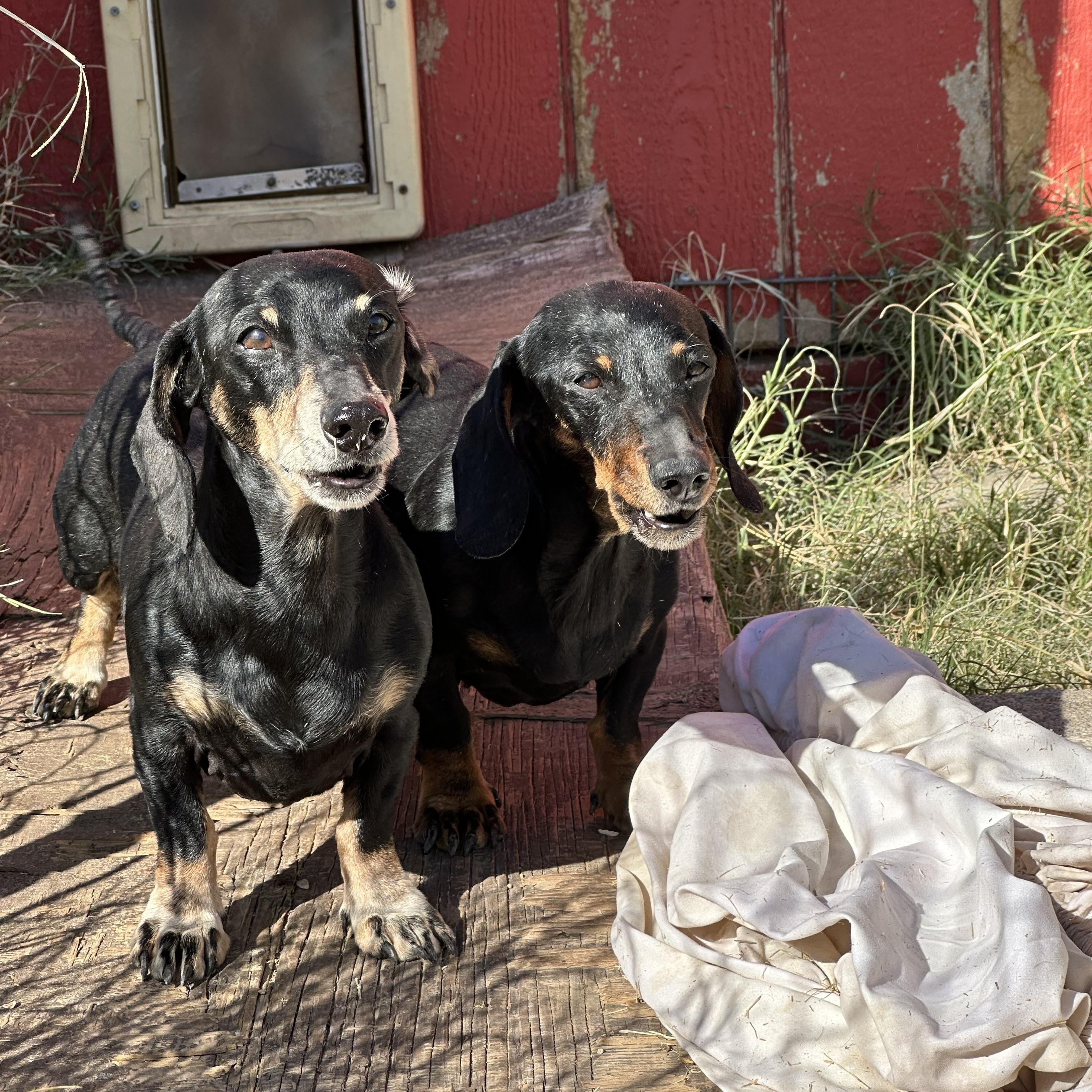 Hansel and Gretel — thumbnail 2