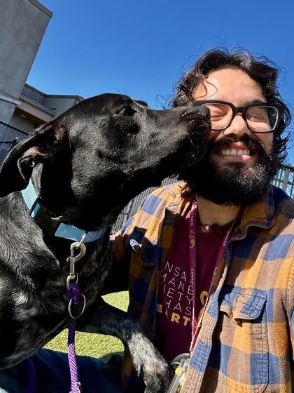 Enlarge Scar Face, a Adoptable mixed breed in Wichita, KS image 3/3