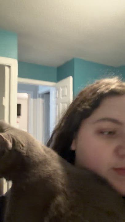 Enlarge Morticia , an adopted Domestic Short Hair in Bethel, CT video 6/6