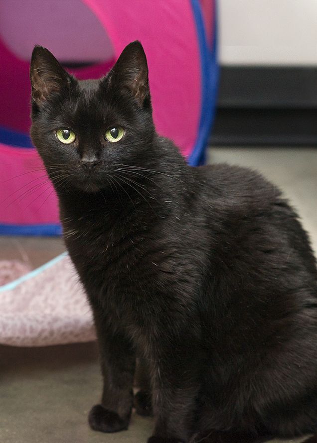 Sammie — thumbnail 5