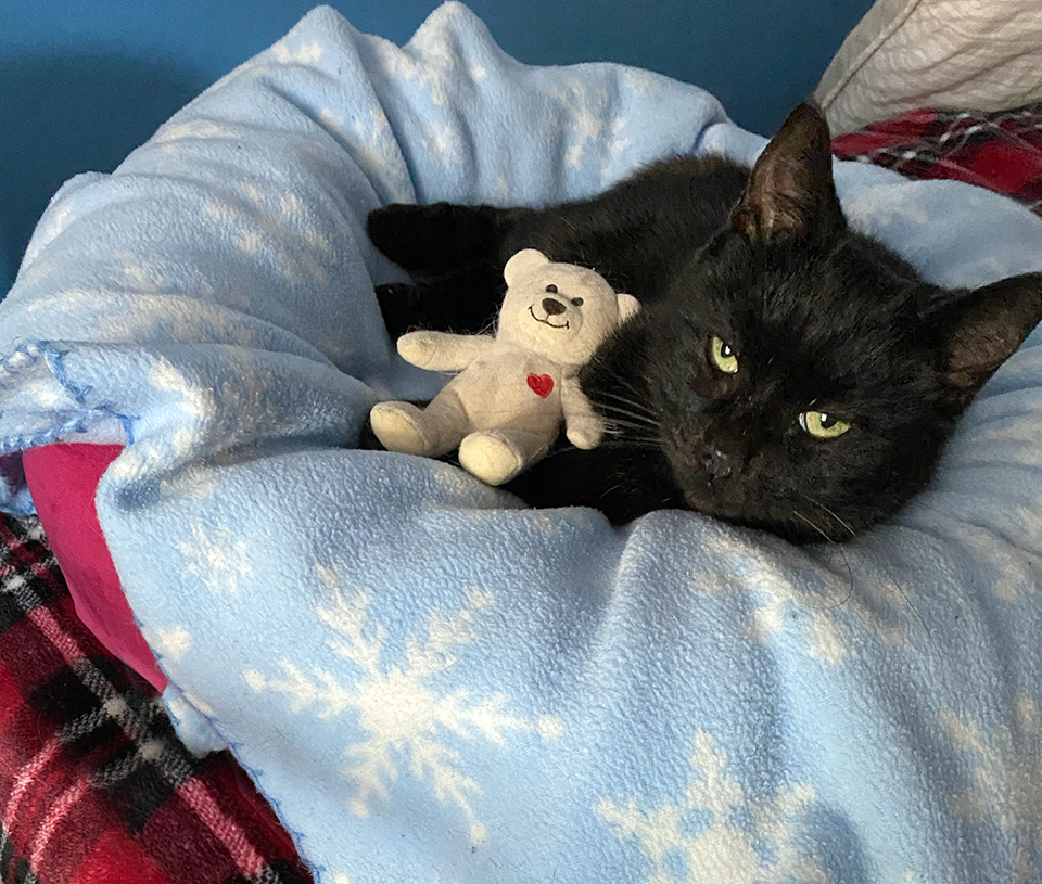 Sammie — thumbnail 6