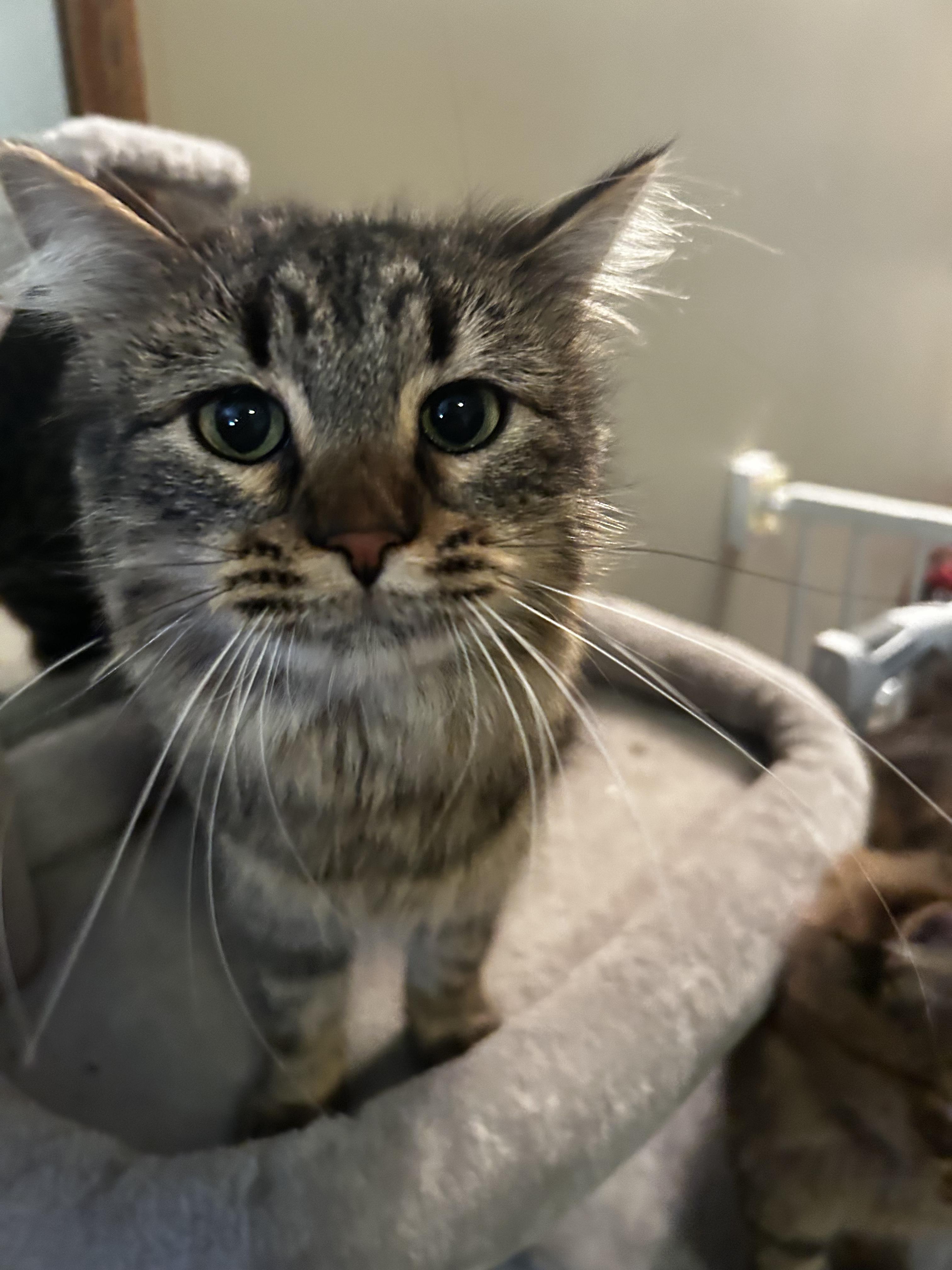 Buddy and Holly  --  (sr)