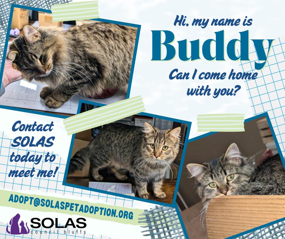 Buddy and Holly  --  (sr)