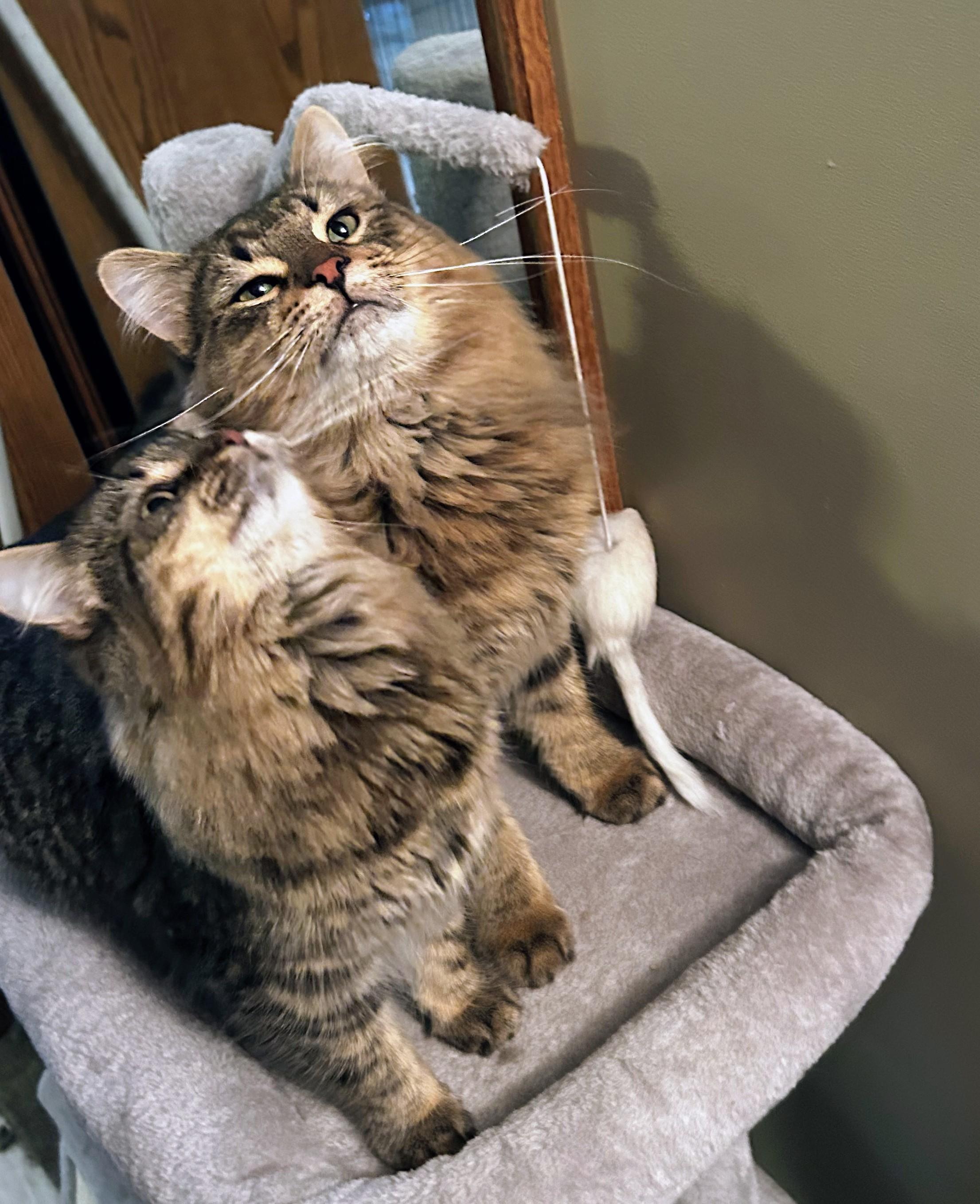 Buddy and Holly  --  (sr)