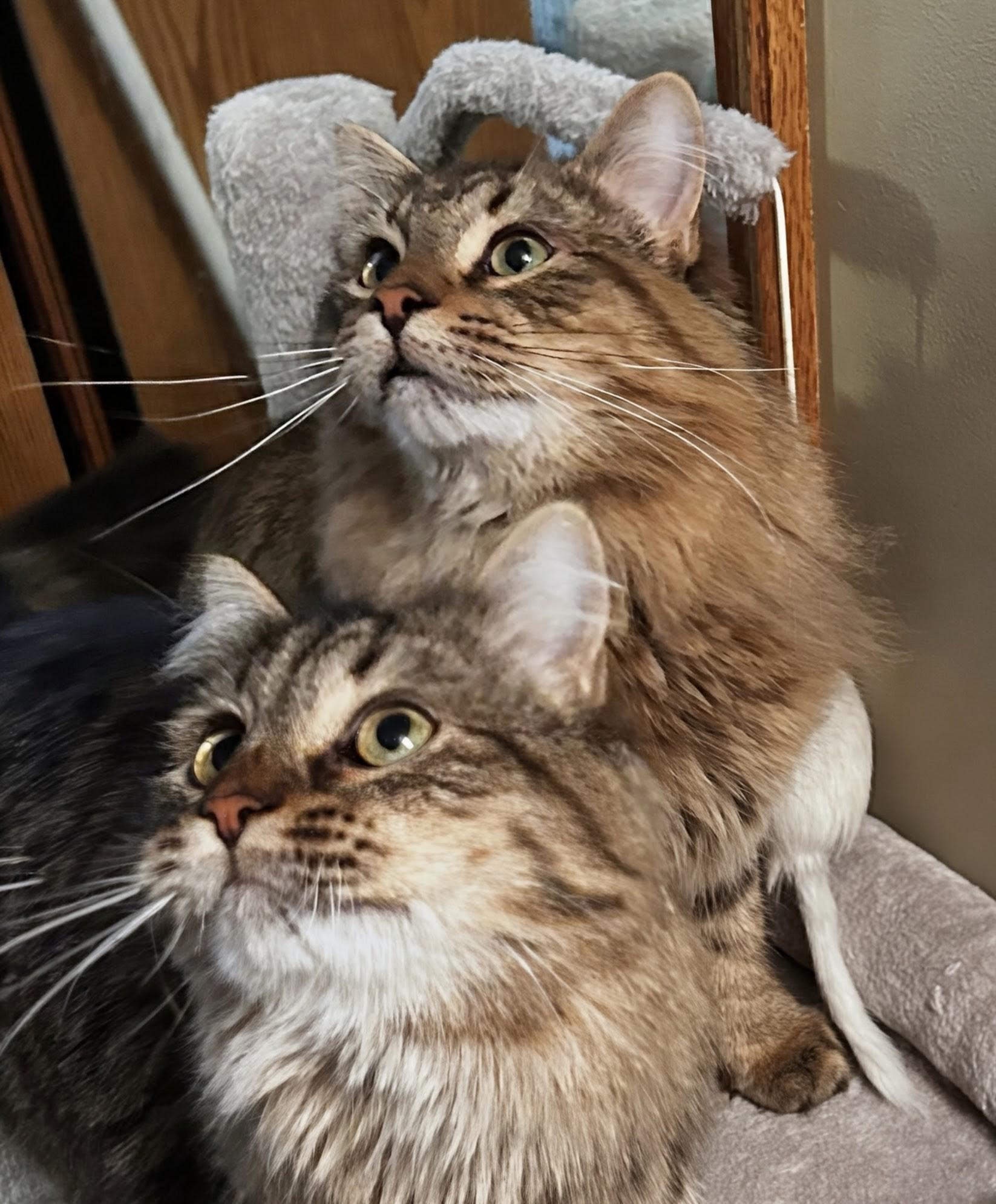 Buddy and Holly  --  (sr)