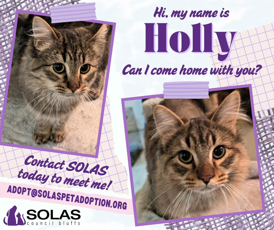 Buddy and Holly  --  (sr)