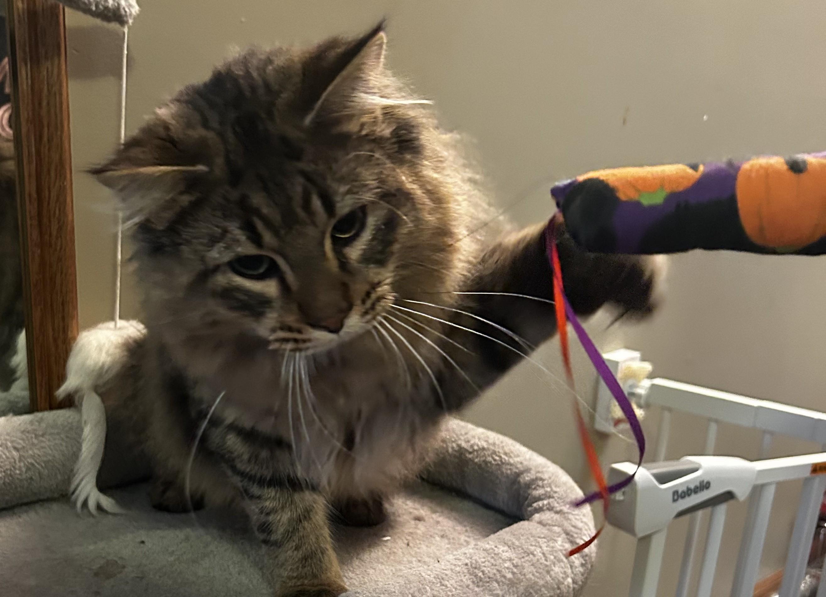 Buddy and Holly  --  (sr)