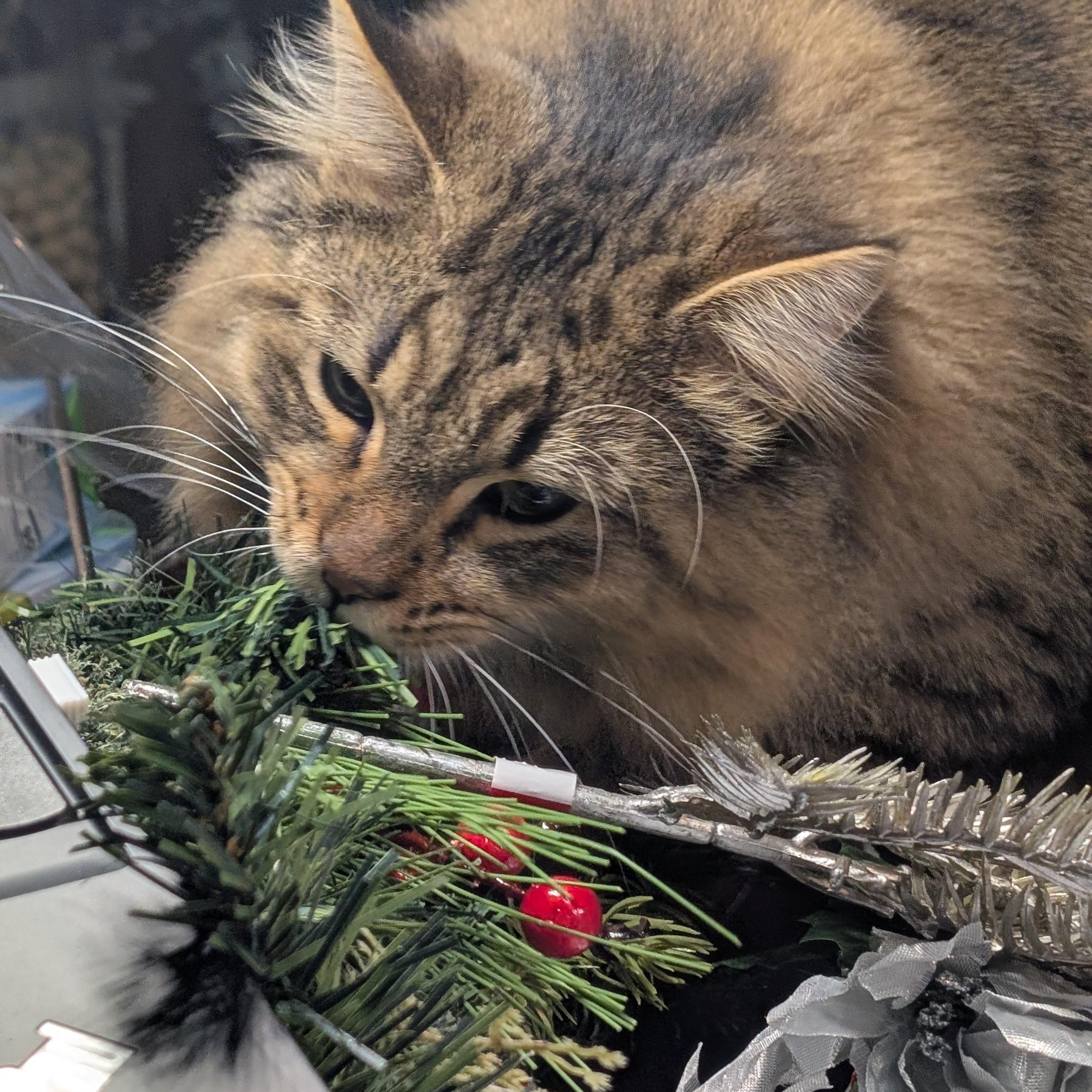 Buddy and Holly  --  (sr)