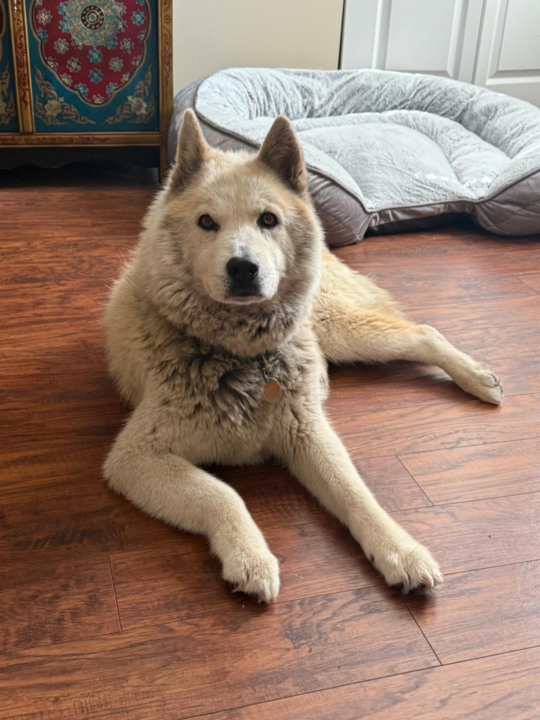 Ella