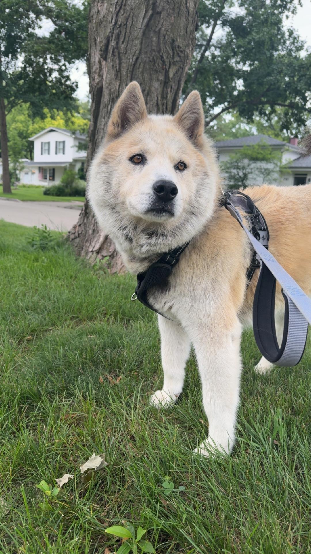 Ella