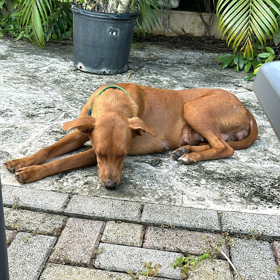 Loiza "i Just Want thumbnail 2