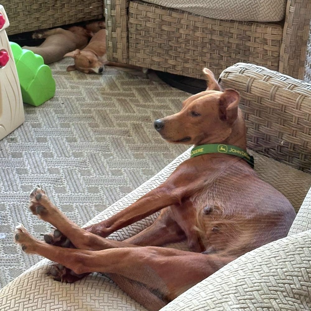 Loiza "i Just Want thumbnail 3