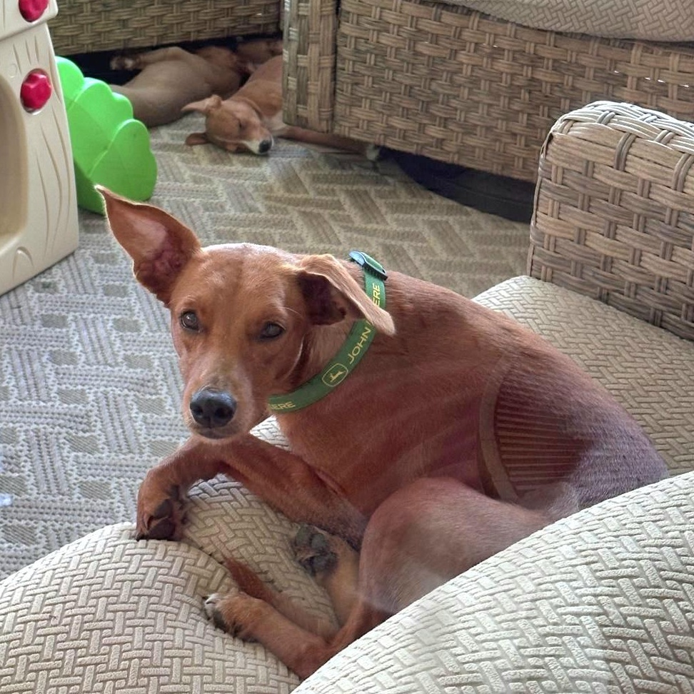 Loiza "i Just Want thumbnail 5