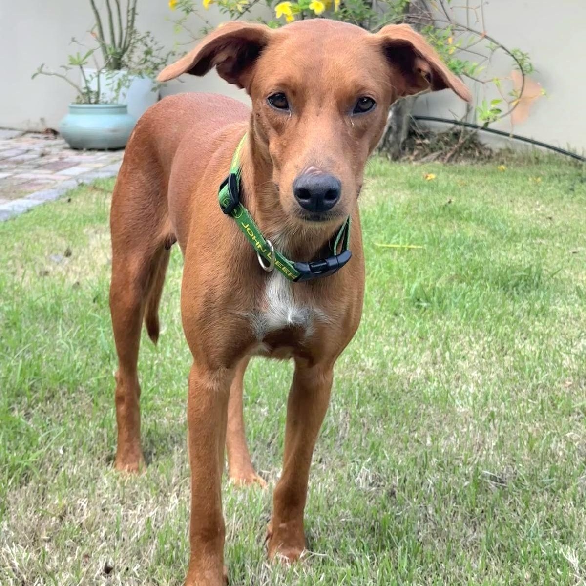 Loiza "i Just Want thumbnail 6