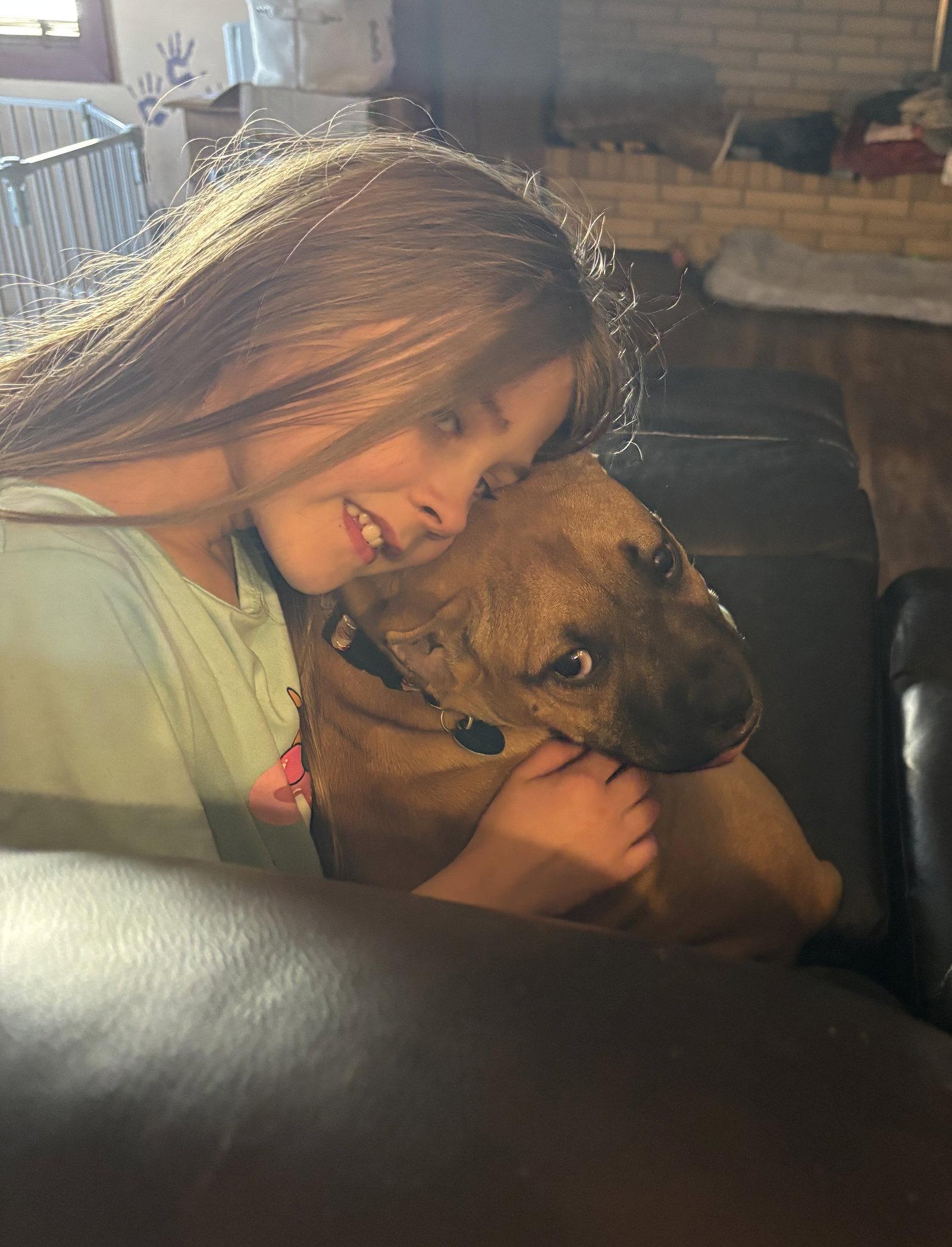 Fv Litter Indie, Adoptable, Puppy Female American Bulldog.