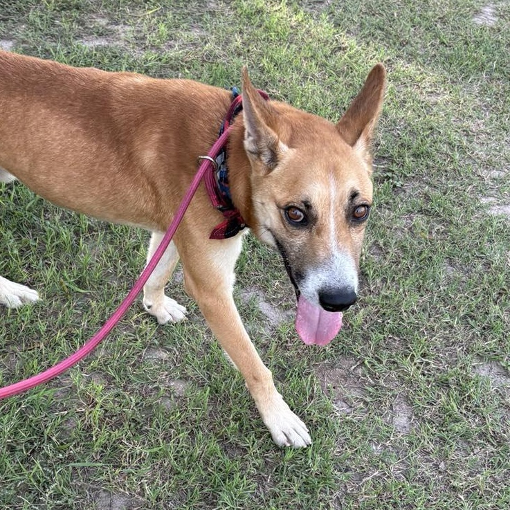 Flako — thumbnail 4