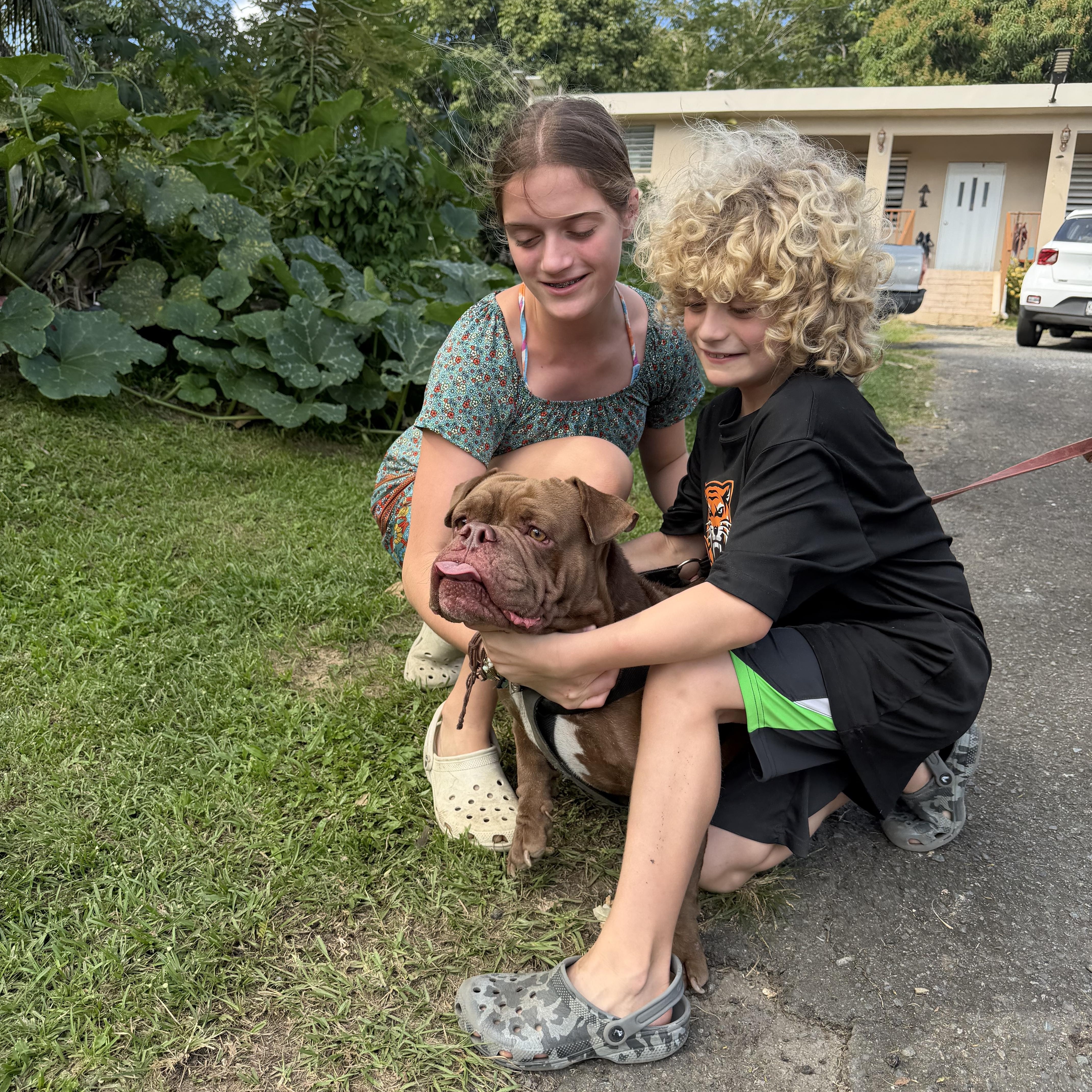 Enlarge Winston, an adoption pending mixed breed in Ridgefield, CT image 6/6