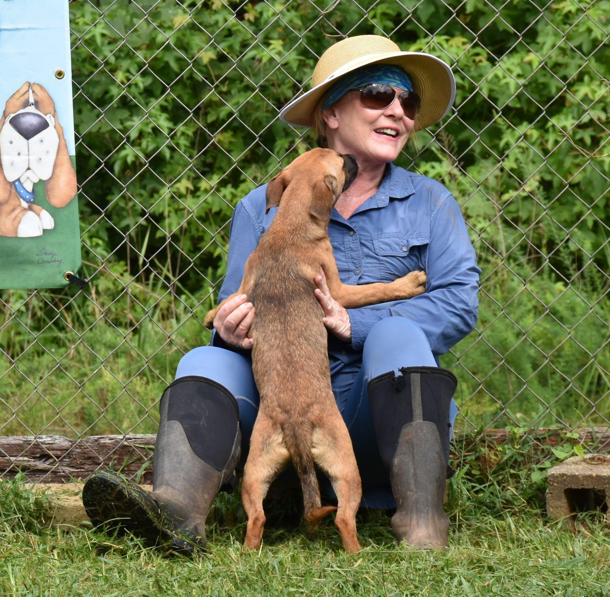 Enlarge Rugar, a Adopted mixed breed in Wedowee, AL image 3/6