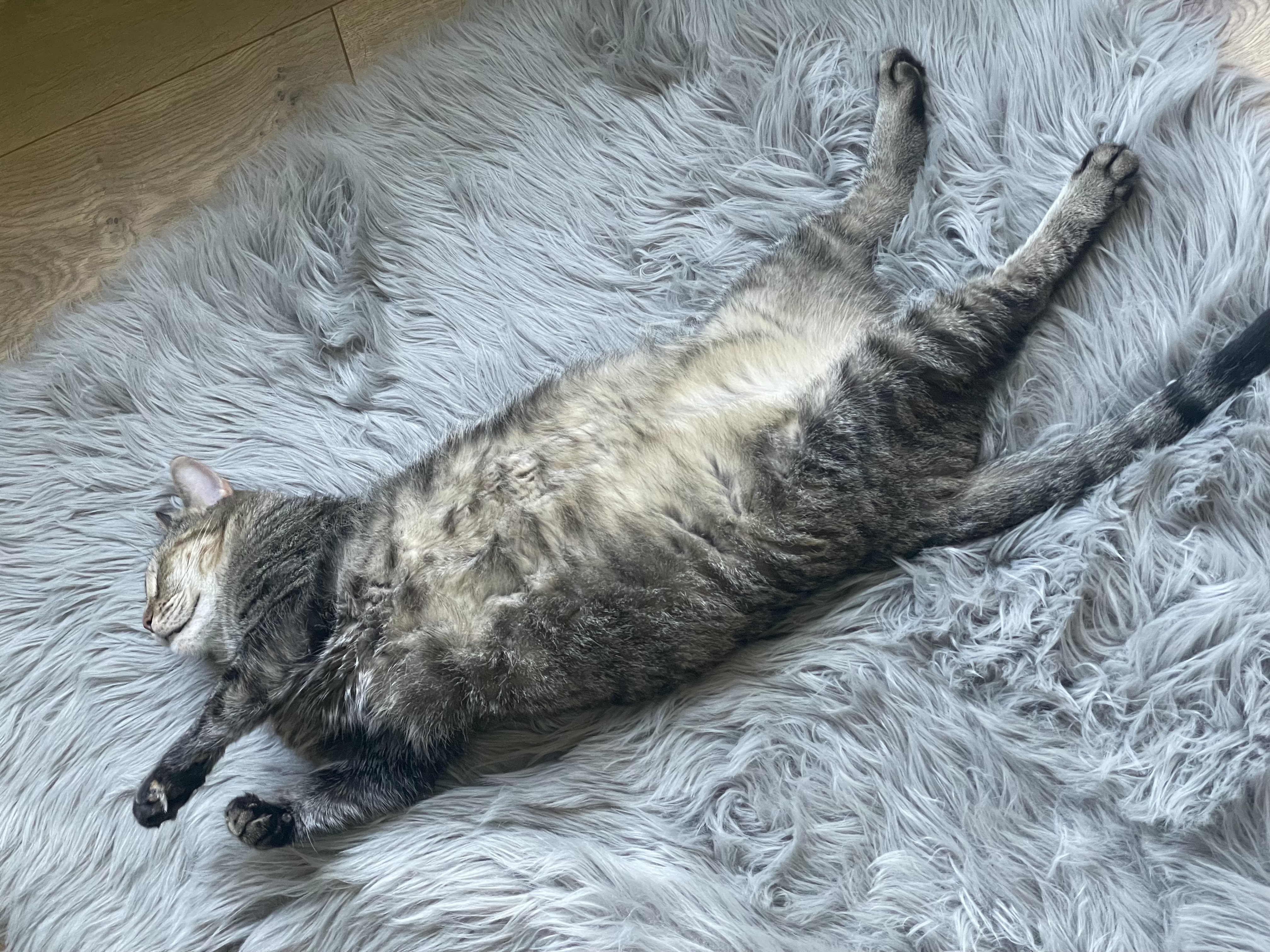 Cleo