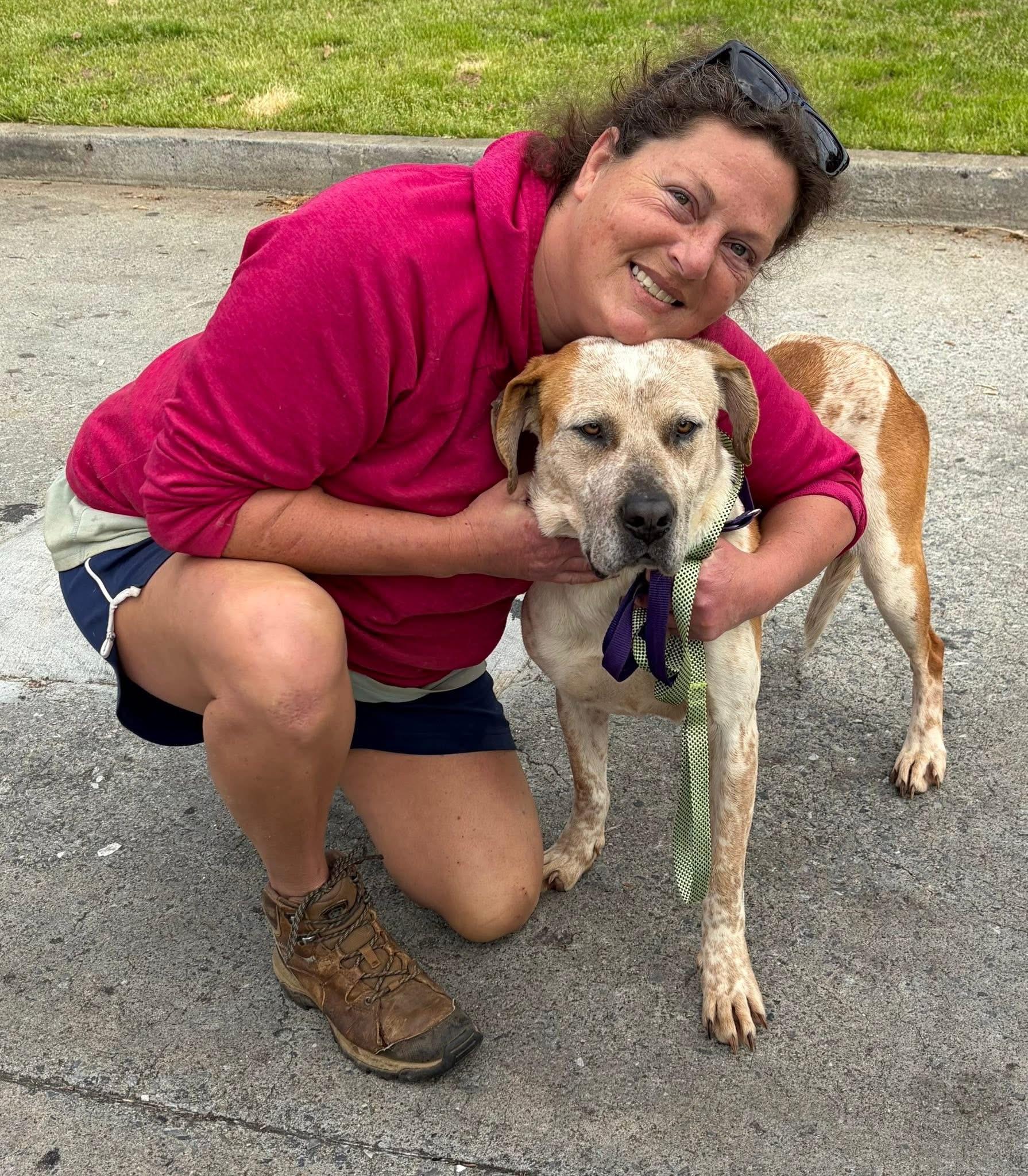 Enlarge Amber, a ADOPTABLE mixed breed in Cumming, GA image 2/5