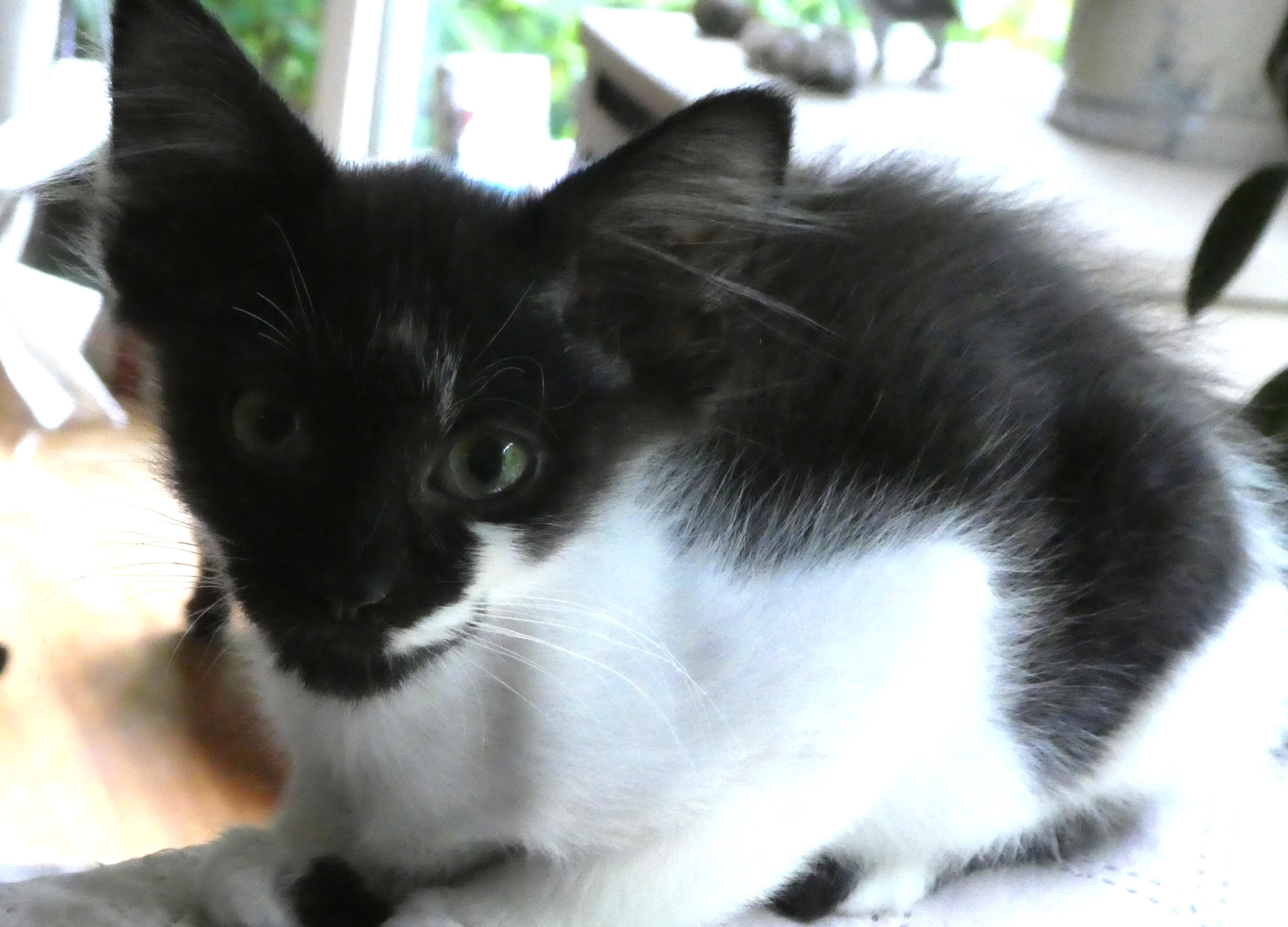 Jerry thumbnail 2