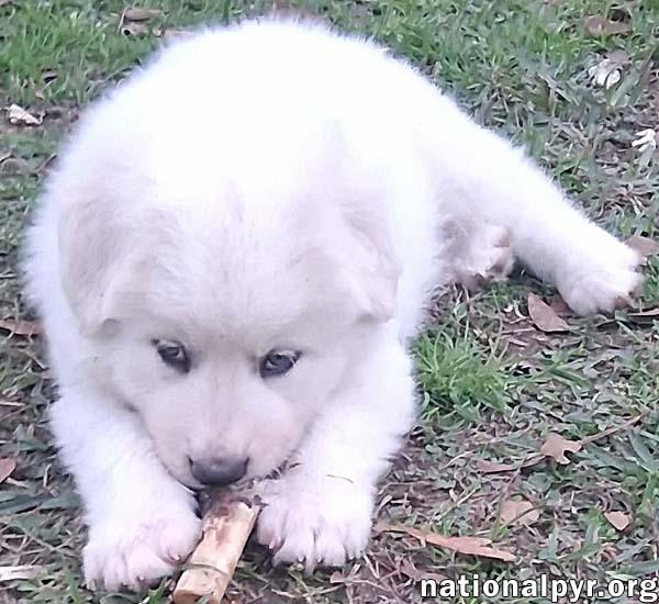 Julian in LA - Loves Playtime & Apple Snacks!