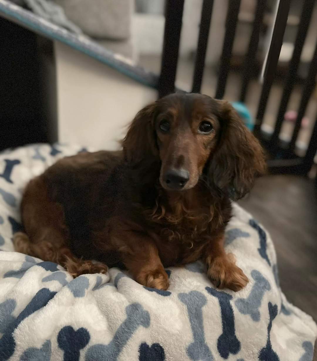 Barkley