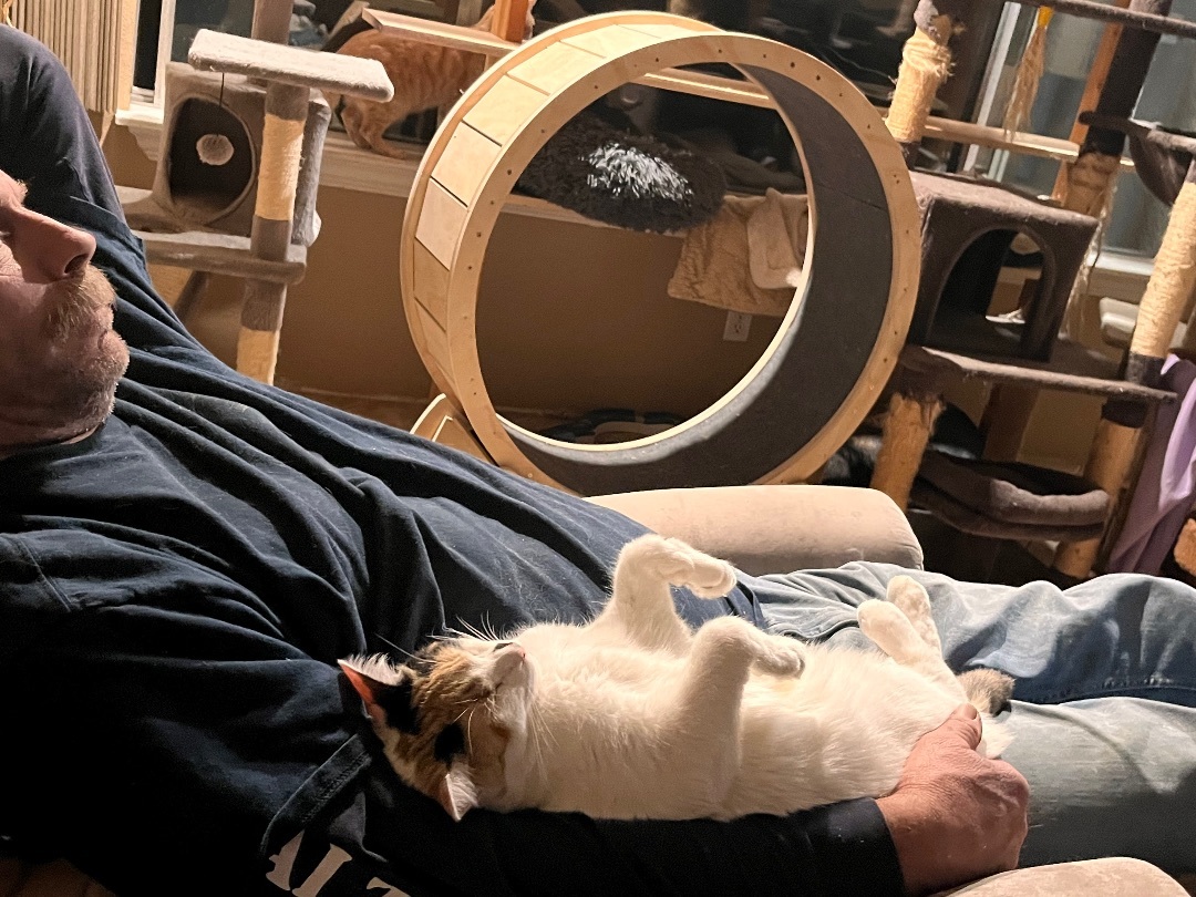 Candy Land, a Adoptable mixed breed in Moreno Valley, CA image 5/6