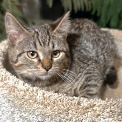 Selena  The Softest! thumbnail 6