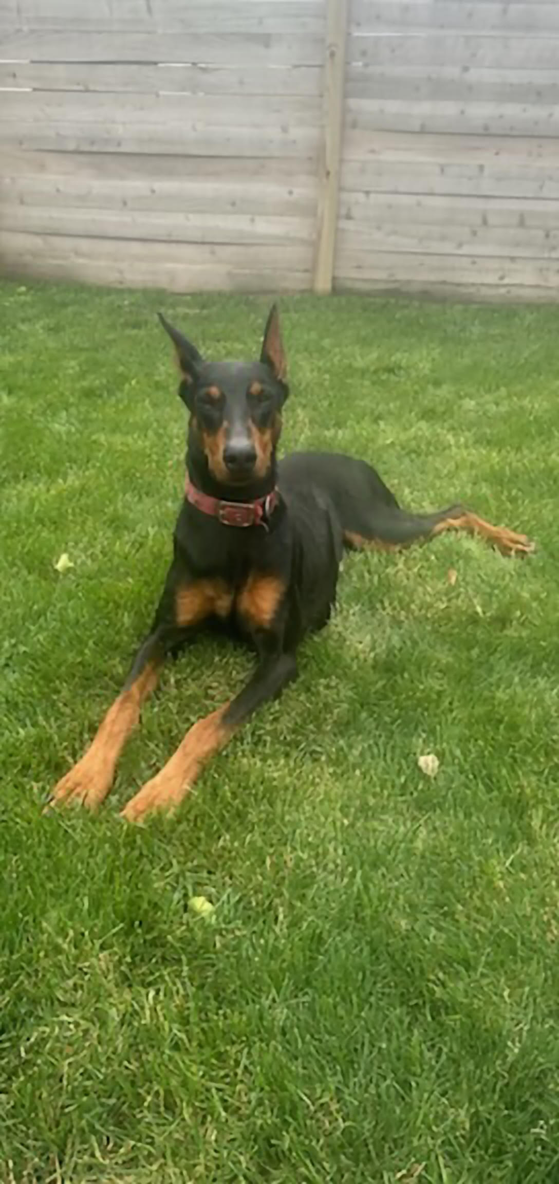 Rosco 5