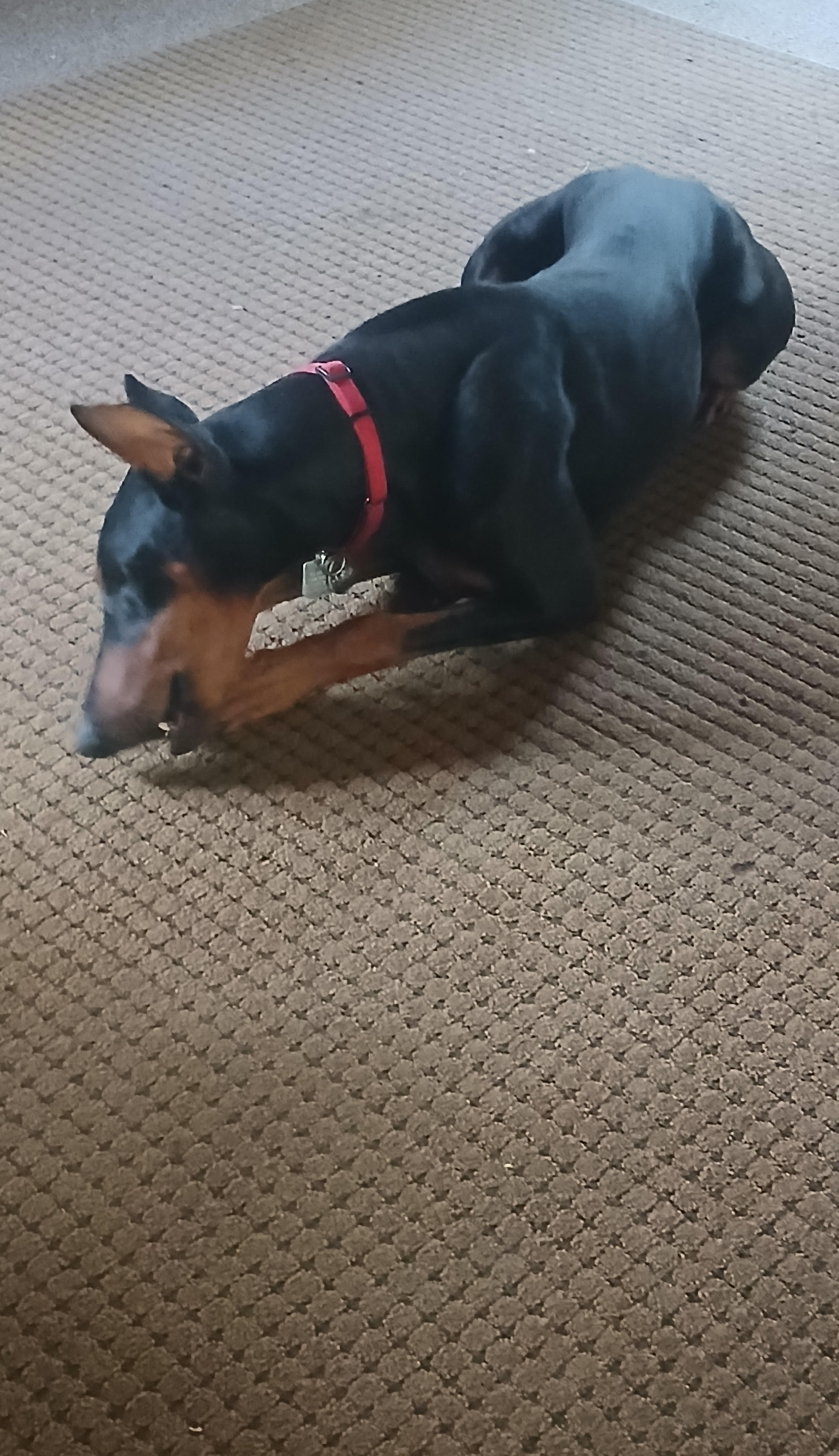 Rosco 4