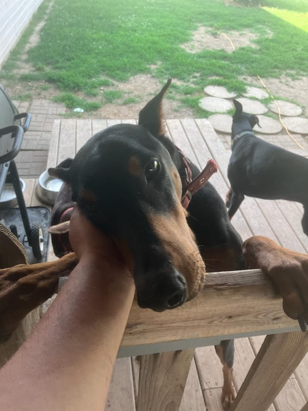 Rosco 3
