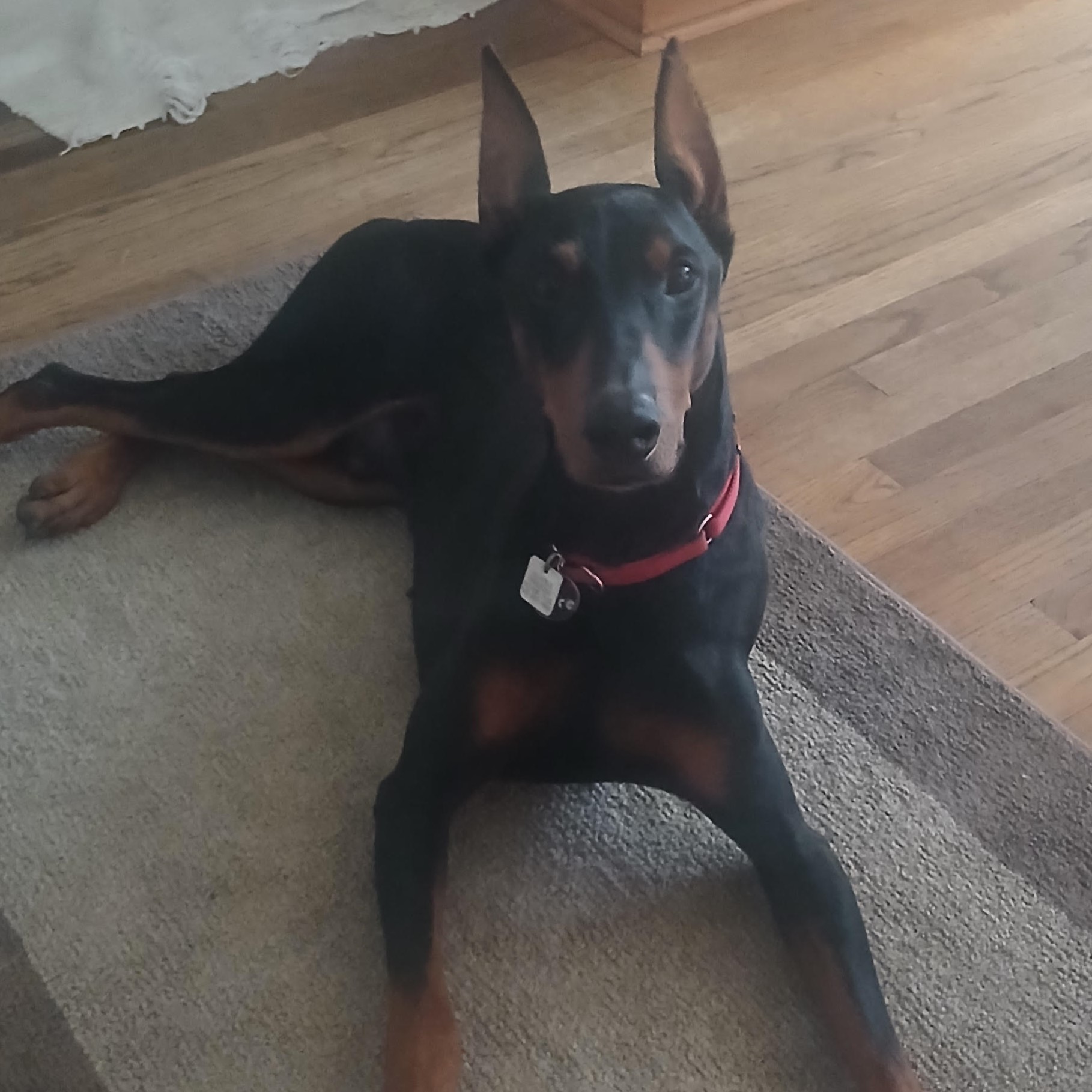 Rosco 2