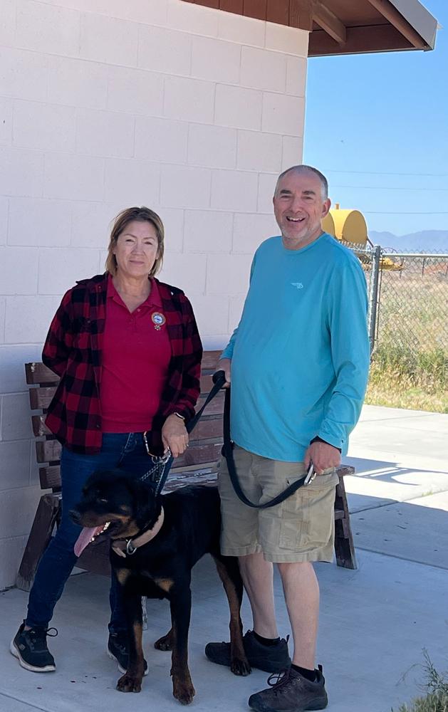 Enlarge Wilcox, a Adoptable Rottweiler in Gilbert, AZ image 2/6
