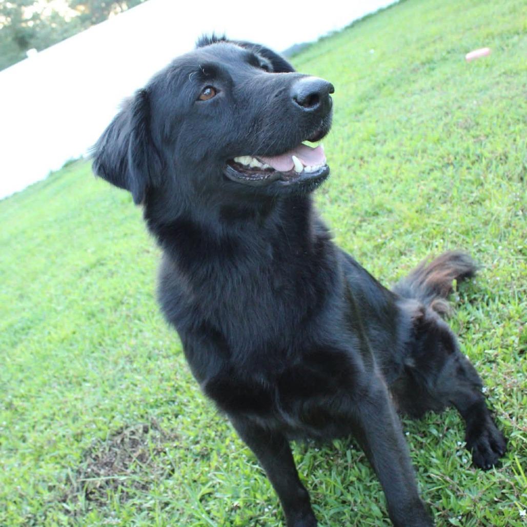 Arie — thumbnail 5