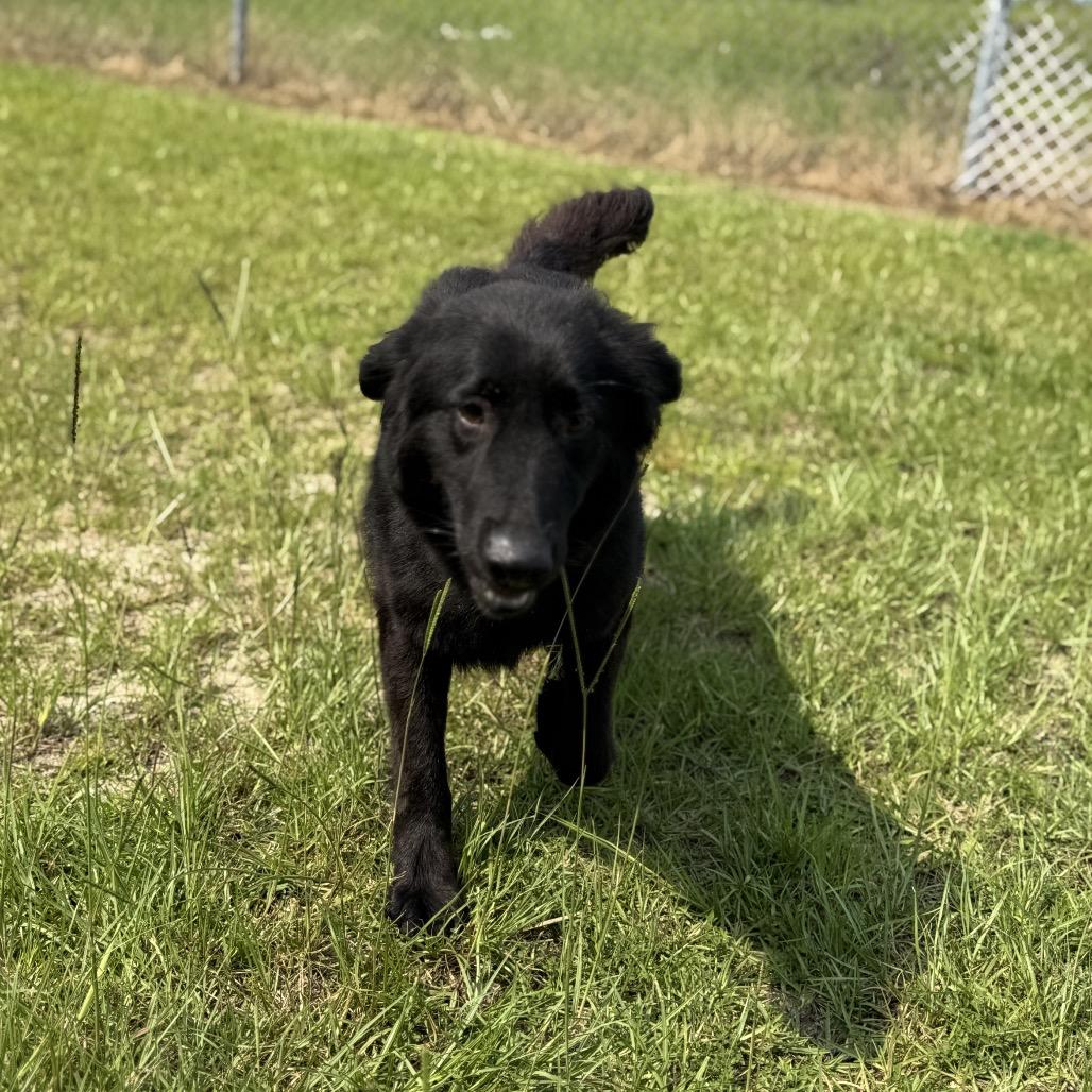 Arie — thumbnail 6