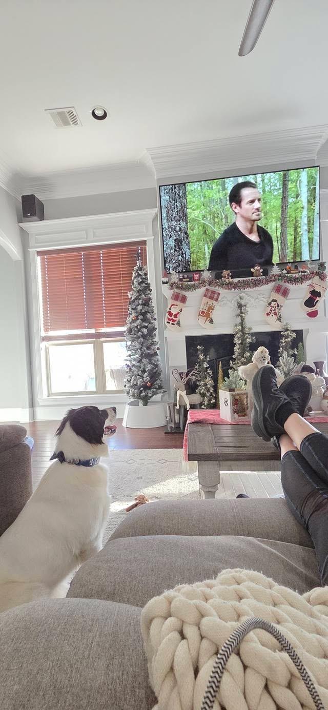 Enlarge Trixie, a ADOPTABLE mixed breed in Baker, LA image 3/5