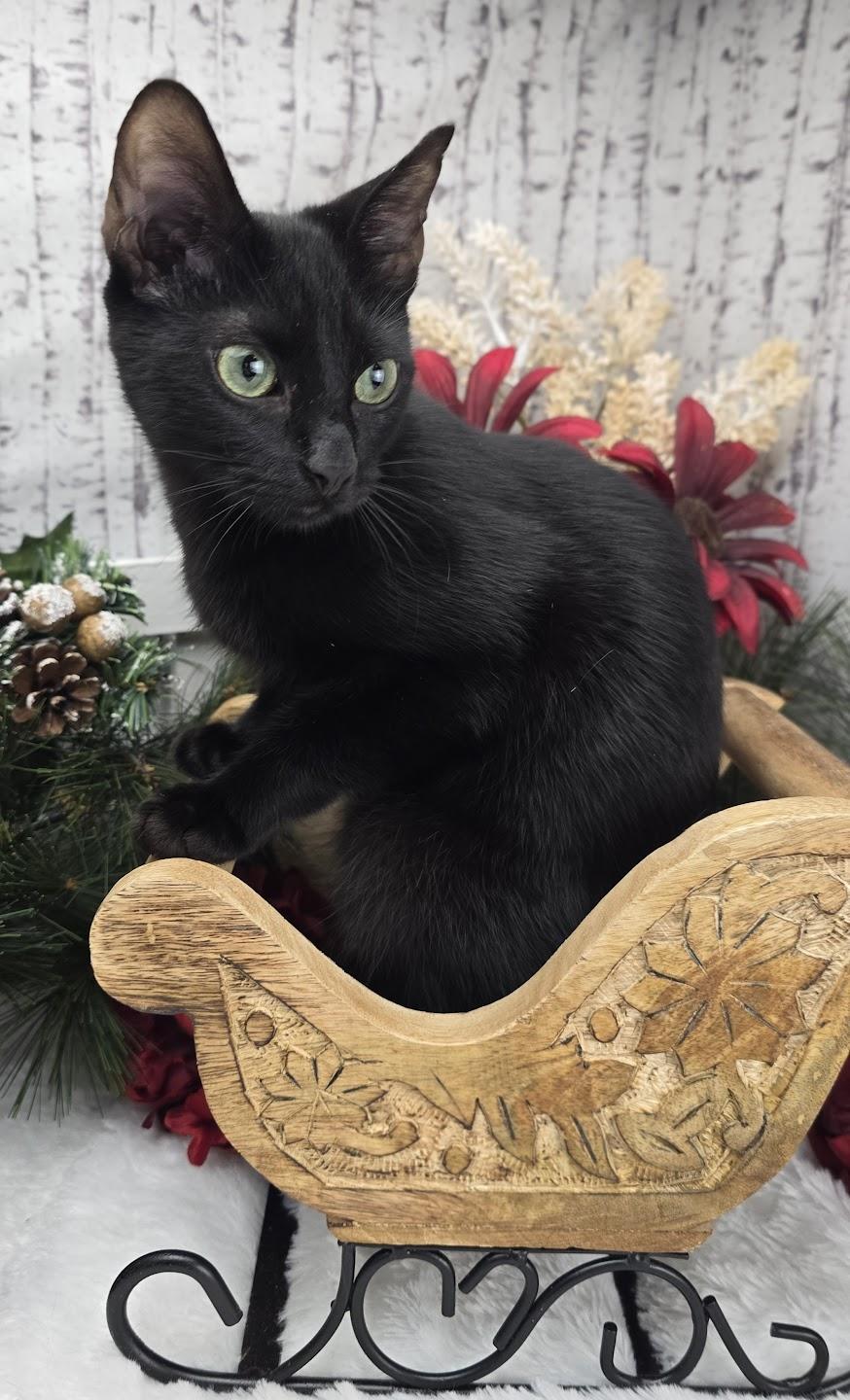 Lugnut  Aka Wuggywuggy thumbnail 3