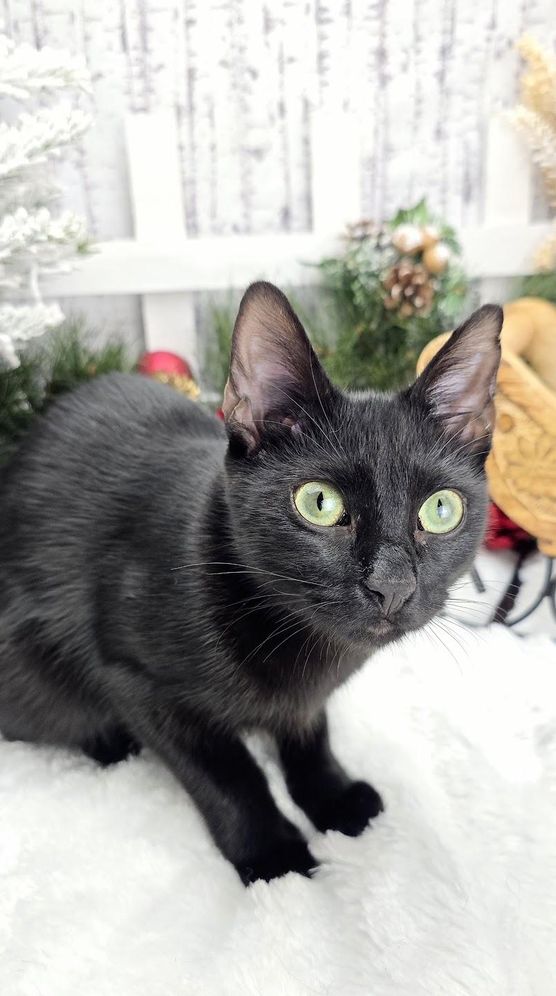 Lugnut  Aka Wuggywuggy thumbnail 4