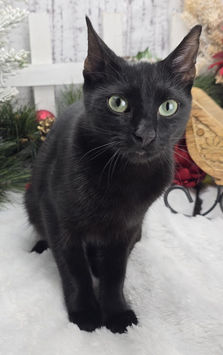 Lugnut  Aka Wuggywuggy thumbnail 5