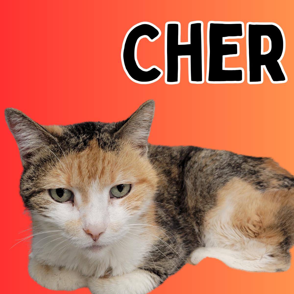 Cher