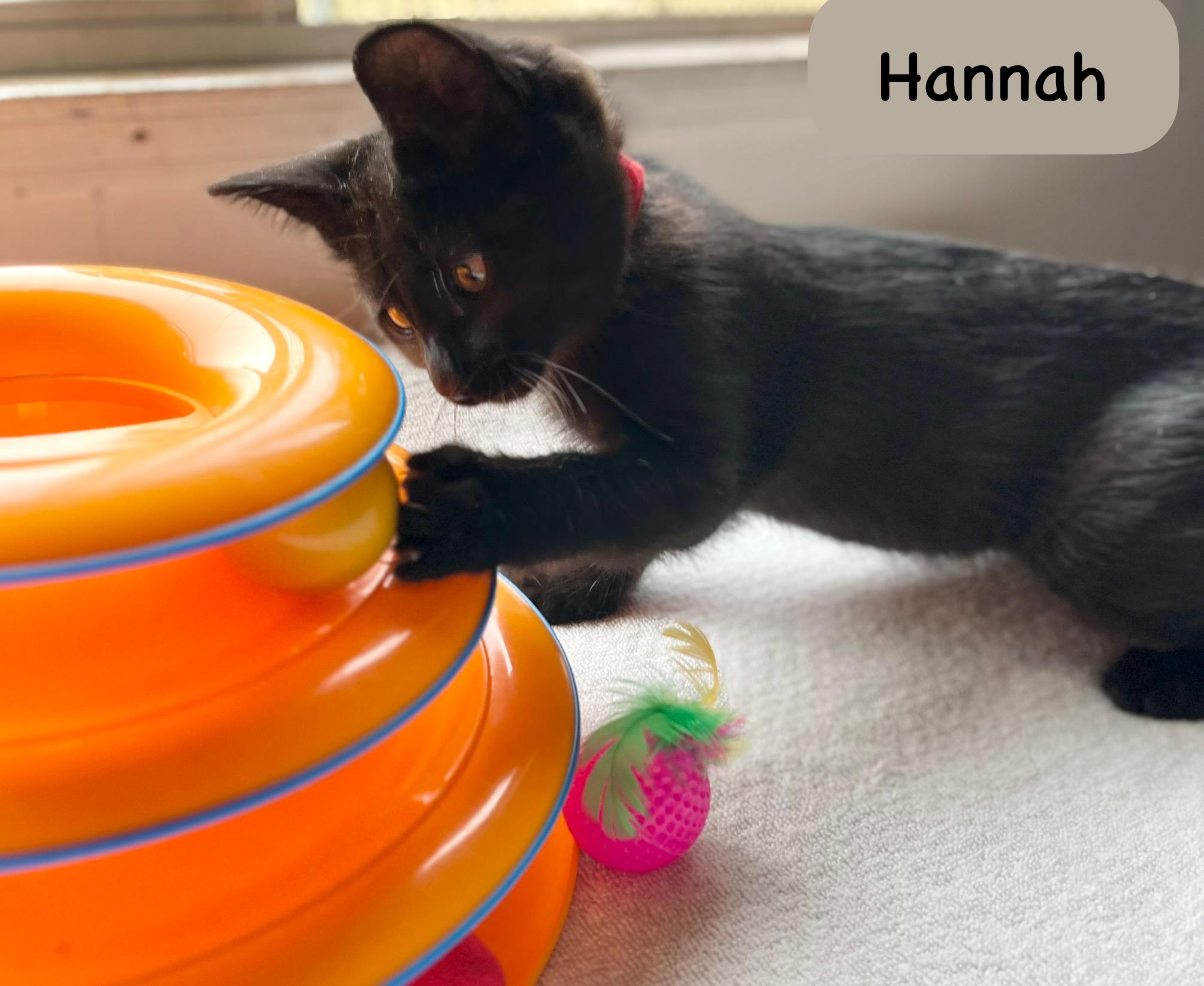 Hannah thumbnail 3