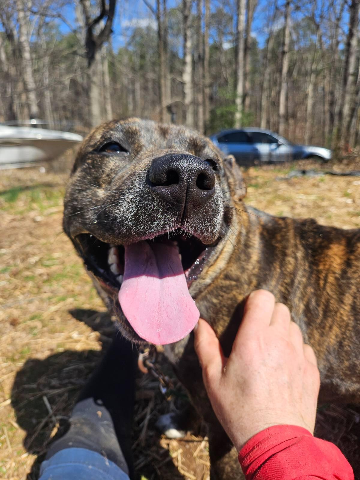Bella photo 1