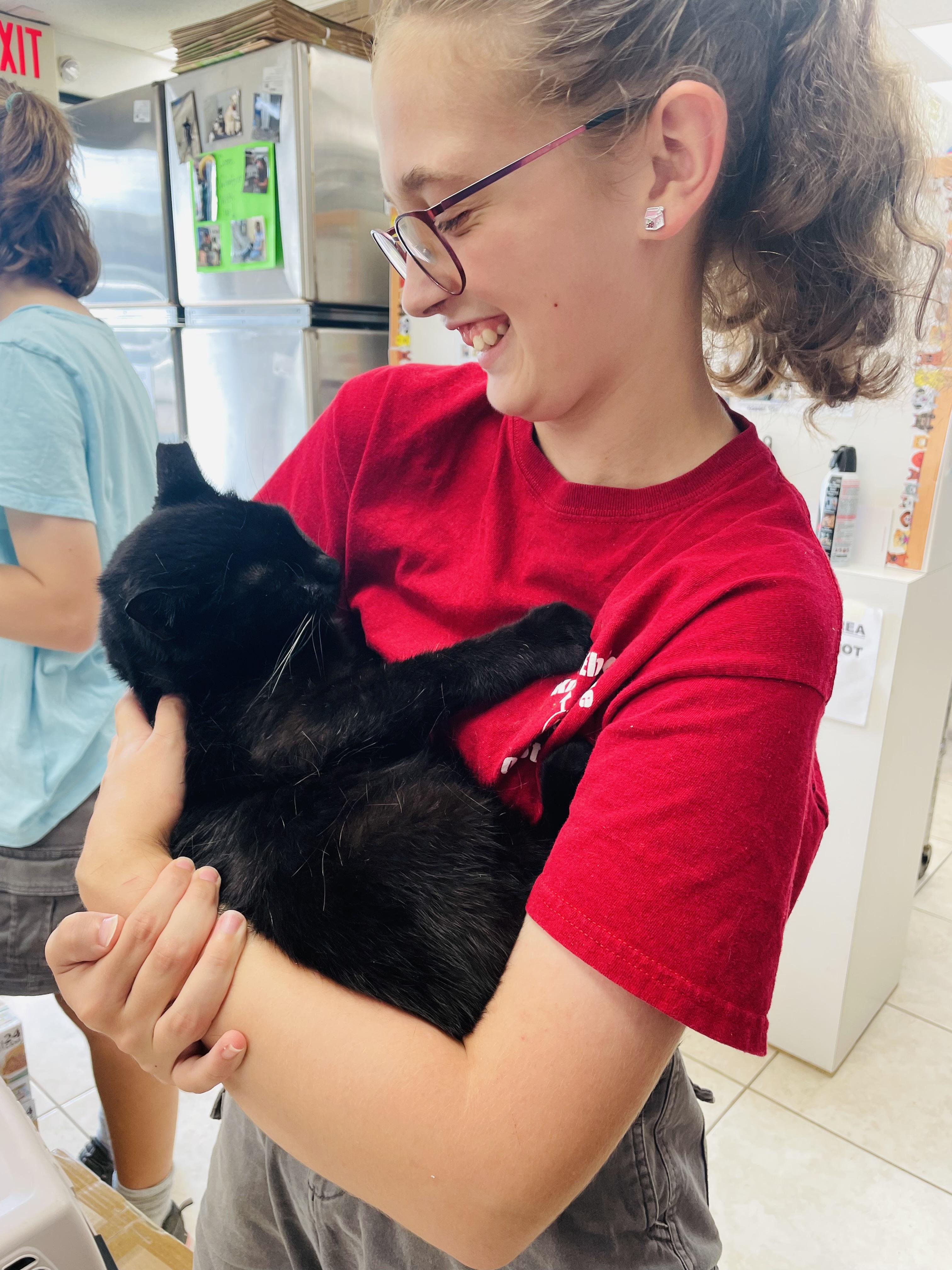 King FIV+, a Adoptable Domestic Short Hair in Cincinnati, OH image 6/6