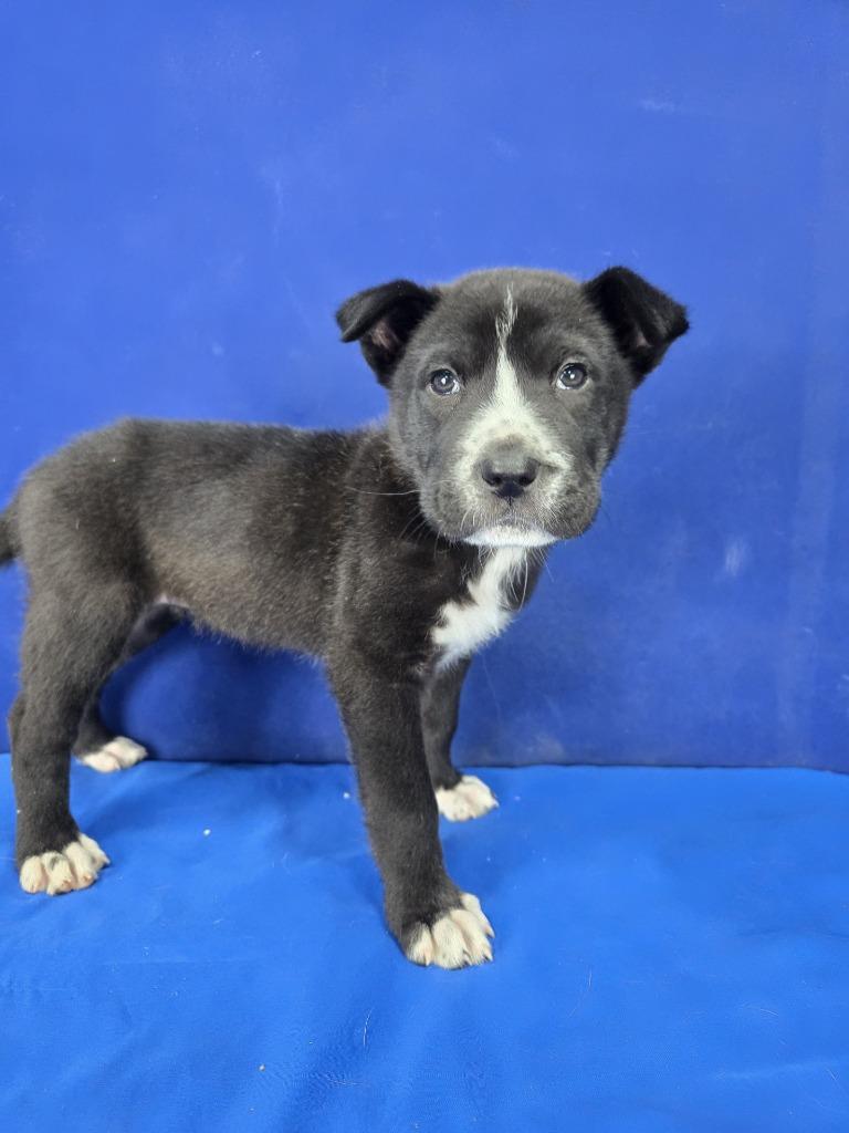 Princess Peach thumbnail 2