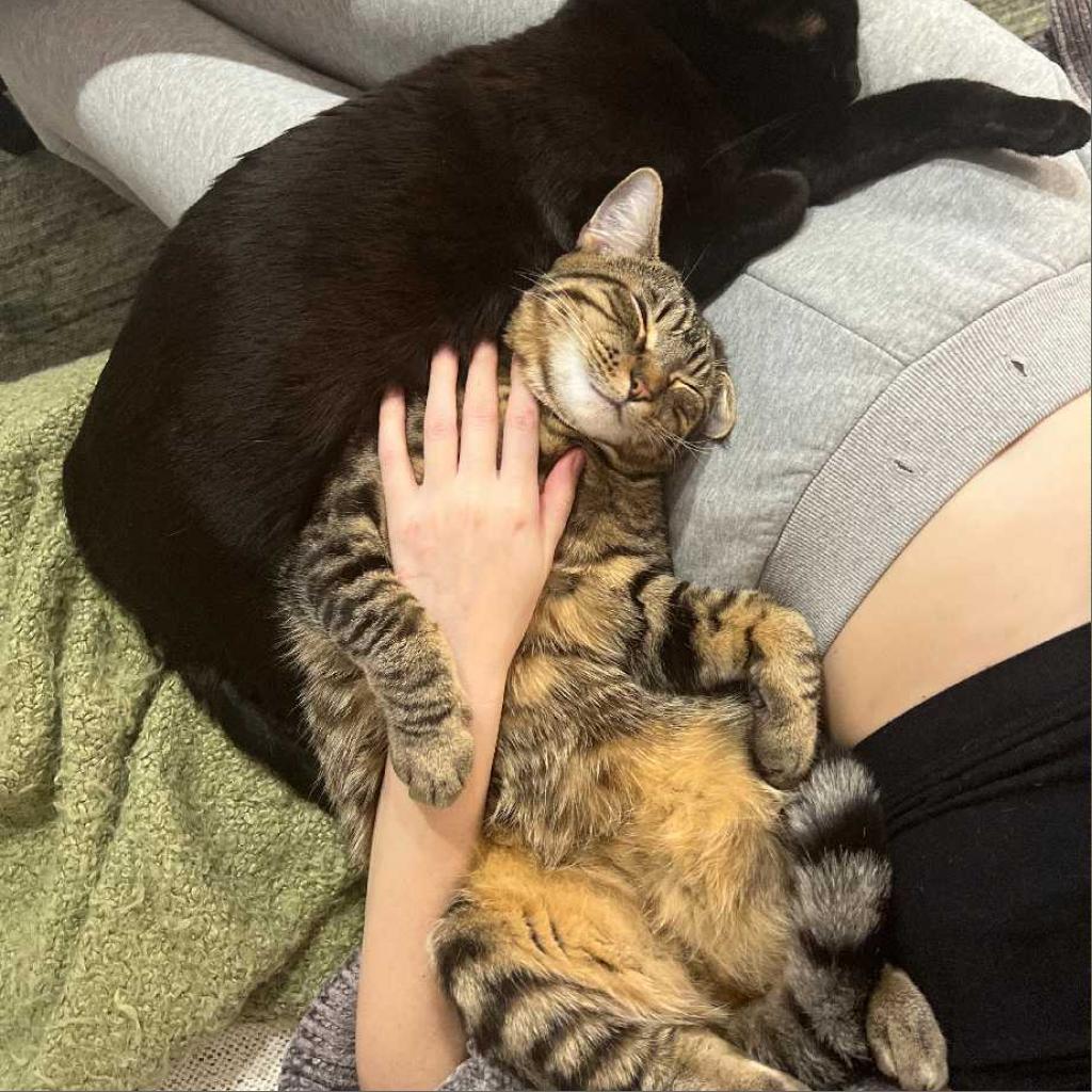 Anderson — thumbnail 3