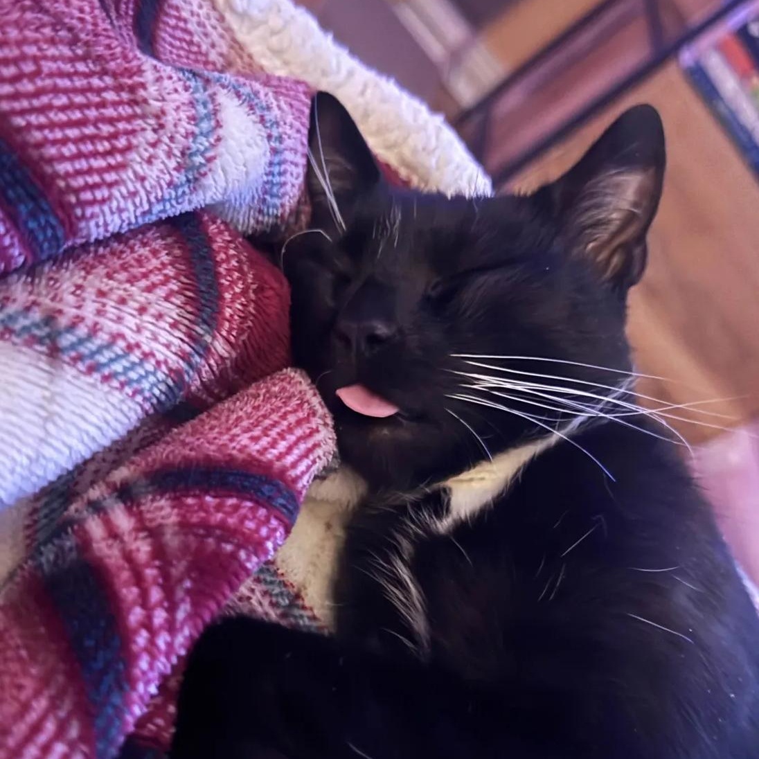 Peppercorn thumbnail 2