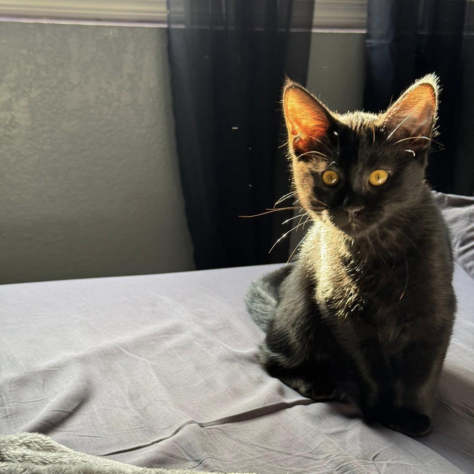 Kiki